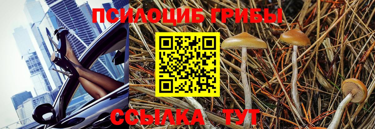 Галлюциногенные грибы GOLDEN TEACHER Димитровград
